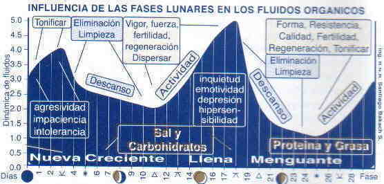 Influencia de las fases lunares