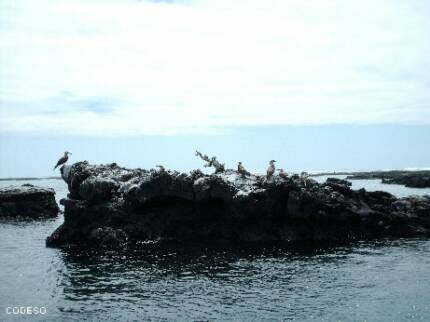 Galapagos Islands